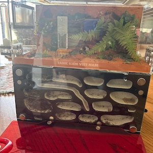 Ant Tank/ant Farm - Nest D05 - Max Option - Etsy