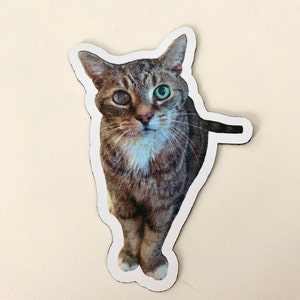 Alexandra added a photo of their purchase