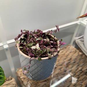 Sign added a photo of their purchase