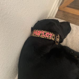 Dee added a photo of their purchase