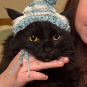 Bonnet En Tricot Doux Avec Broderie Chat - Hiver, Automne, Printemps - Unisexe - 2 Pièces