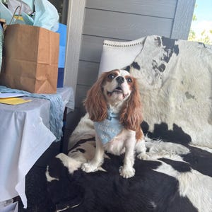 Lindsey added a photo of their purchase