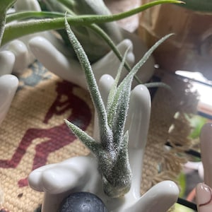 Debbie added a photo of their purchase