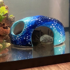 Macie added a photo of their purchase
