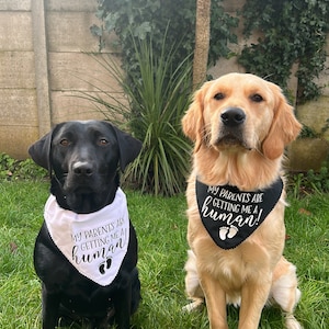 Charlotte added a photo of their purchase