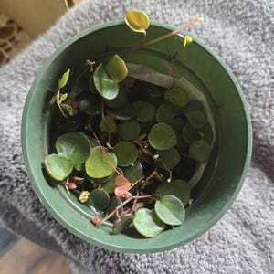 Barbara added a photo of their purchase
