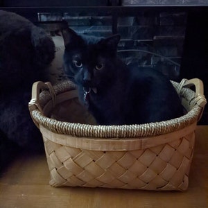Arianne added a photo of their purchase