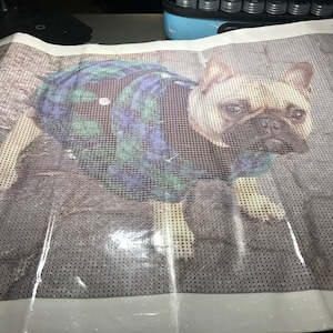 Diana added a photo of their purchase