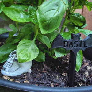 Kiki added a photo of their purchase