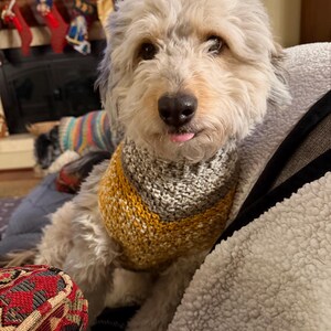 Lauren added a photo of their purchase