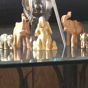 Ginny added a photo of their purchase