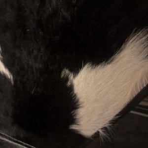 Sulene heeft een foto van de aankoop toegevoegd
