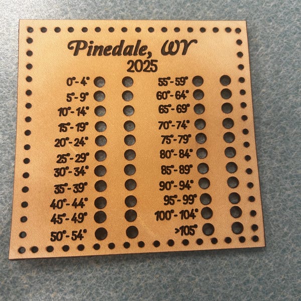 16 Pioli Per Cribbage In Ottone 4 Colori – Set Con Borsa Porta Pioli Per Giochi Da Tavolo Tradizionali - 5