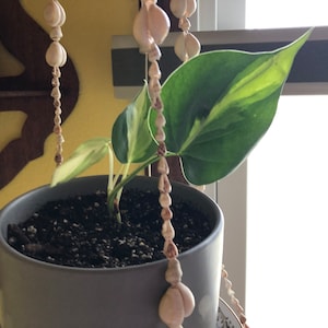 Debra added a photo of their purchase