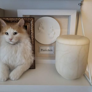 Sandra added a photo of their purchase