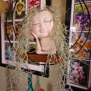 Lisa heeft een foto van zijn/haar aankoop toegevoegd