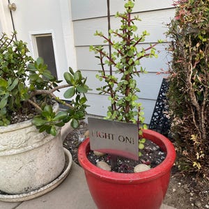marcia added a photo of their purchase