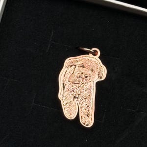 Lara added a photo of their purchase