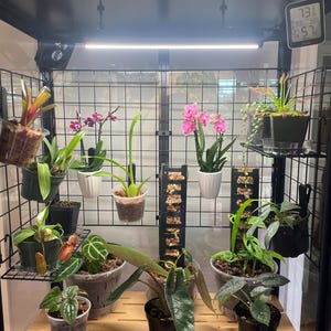 Mac added a photo of their purchase