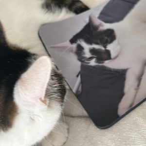 Julie added a photo of their purchase