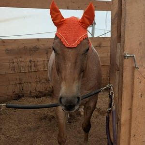 Emalee added a photo of their purchase