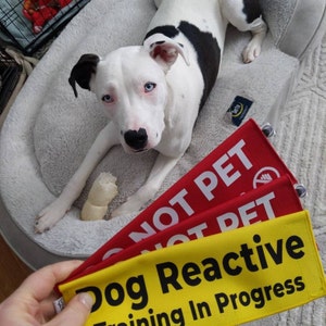 Kiki added a photo of their purchase