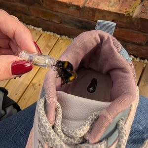 Etsy buyer added a photo of their purchase