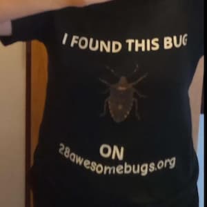 Ray hat ein Foto des gekauften Artikels hinzugefügt