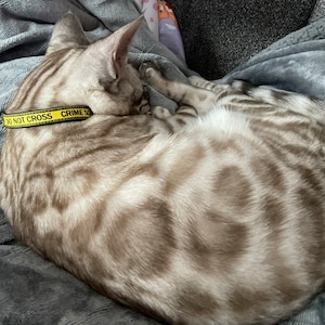 Christy heeft een foto van de aankoop toegevoegd
