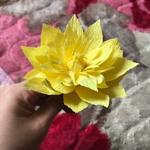 Nhàn added a photo of their purchase