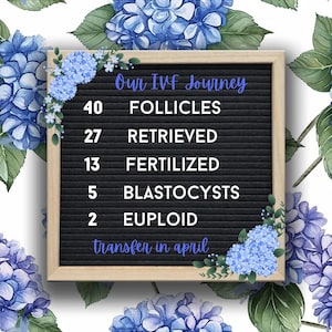 Olivia added a photo of their purchase