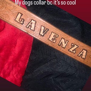 Sirius added a photo of their purchase
