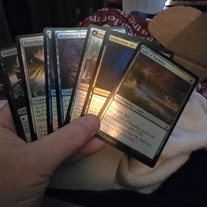Tammy added a photo of their purchase