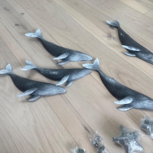 Holly added a photo of their purchase