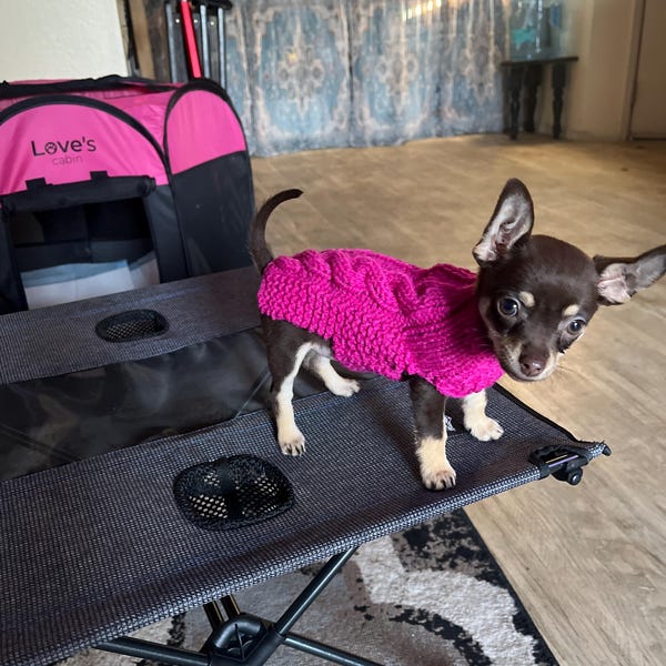 XXS Dog Sweater, XXS Dog Coat, XXS Dog Clothes, Tiny Dog Sweater