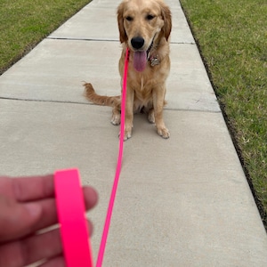Joshua added a photo of their purchase