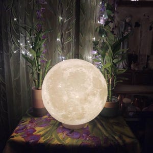 SHELBEAUTY a ajouté une photo de son achat