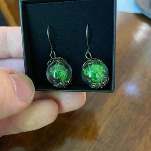 Theodore added a photo of their purchase