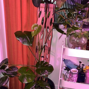 Brianna added a photo of their purchase