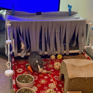 Nancy added a photo of their purchase