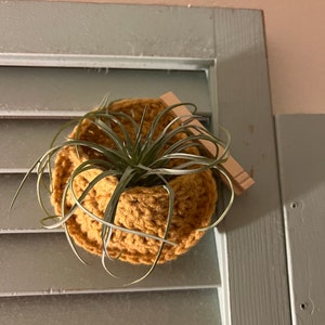 Josie added a photo of their purchase