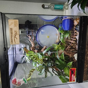Alaina added a photo of their purchase