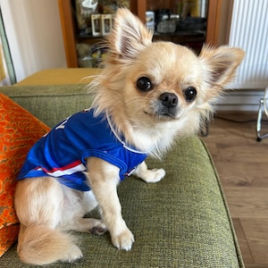 Enzo added a photo of their purchase