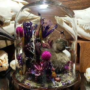 Morgana added a photo of their purchase