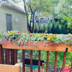 Elizabeth added a photo of their purchase