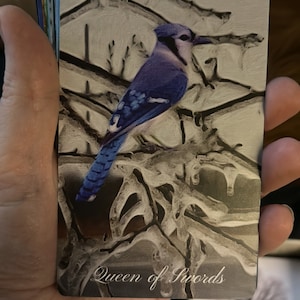 Sarah added a photo of their purchase