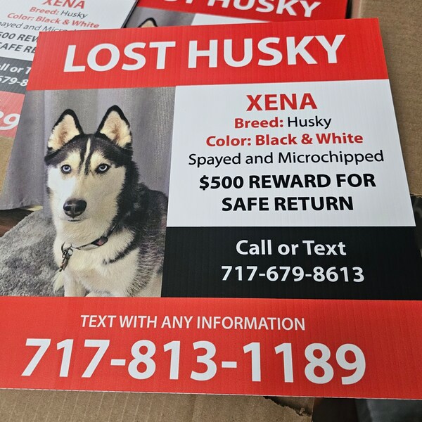 48 Custom Yard Signs - FAST! - Etsy