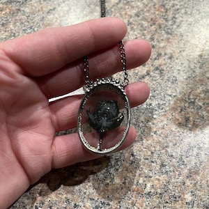 Autumn added a photo of their purchase