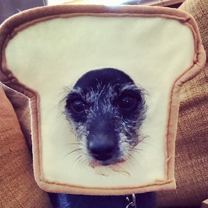 Gaby added a photo of their purchase