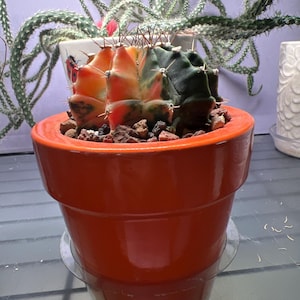 Gale added a photo of their purchase